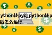 python转pyc_python转pyc后怎么运行