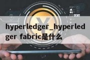 hyperledger_hyperledger fabric是什么