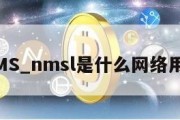 NMS_nmsl是什么网络用语