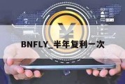 BNFLY_半年复利一次