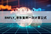 BNFLY_半年复利一次计算公式