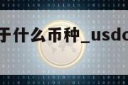 usdc属于什么币种_usdcoin是什么货币