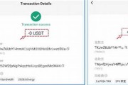 usdt虚拟币账户怎么用啊(usdt虚拟币app)