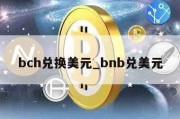 bch兑换美元_bnb兑美元