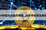 pi手机钱包操作教程_pl币手机钱包教程