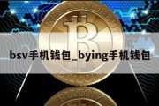 bsv手机钱包_bying手机钱包