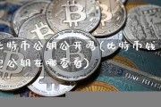 比特币公开展示钱包(btc比特币钱包)