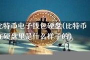 比特币电子钱包是什么(比特币是什么样子照片)