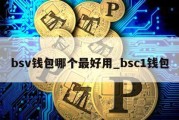 bsv钱包哪个最好用_bsc1钱包