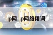 p网_p网络用词