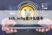 xch_xchg是什么指令