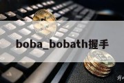 boba_bobath握手