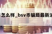 bsv币怎么样_bsv币骗局最新消息2020年