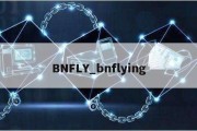 BNFLY_bnflying