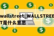 wallstreet_WALLSTREET是什么意思