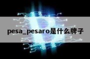 pesa_pesaro是什么牌子