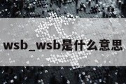 wsb_wsb是什么意思