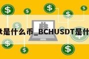 usdt是什么币_BCHUSDT是什么币