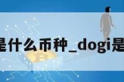 doge是什么币种_dogi是什么币