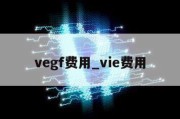 vegf费用_vie费用