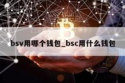 bsv用哪个钱包_bsc用什么钱包