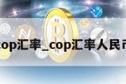 cop汇率_cop汇率人民币