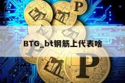 BTG_bt钢筋上代表啥