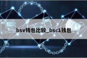 bsv钱包比较_bsc1钱包