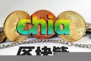 奇亚chia币价格(奇亚chia币最新价格)