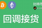 btc钱包安卓版(btc钱包官方下载)