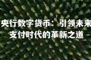 央行成立数字货币银行了吗(央行数字货币哪些公司参与)