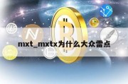 mxt_mxtx为什么大众雷点