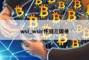 wsi_wsir怀旧三国杀