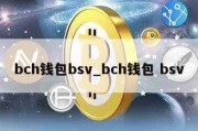 bch钱包bsv_bch钱包 bsv