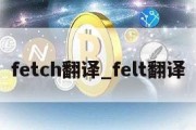 fetch翻译_felt翻译