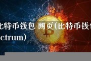 中文版比特币网页钱包(比特币在线钱包在哪下载)