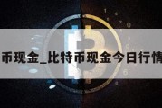 比特币现金_比特币现金今日行情走势