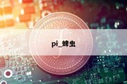 pi_蜱虫