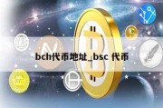 bch代币地址_bsc 代币