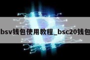 bsv钱包使用教程_bsc20钱包