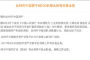 比特币中国ico怎么用,区块链ico怎么对接交易所