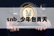 snb_少年包青天