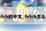 fetch的中文_fetch怎么说