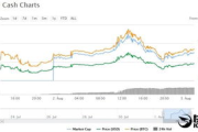 比特币现金最高纪录,比特币现金为什么会产生？