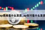 ap费用是什么意思_ap支付是什么意思