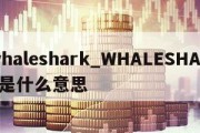 whaleshark_WHALESHARK是什么意思