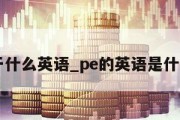 pe等于什么英语_pe的英语是什么意思