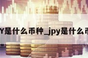 CNY是什么币种_jpy是什么币种