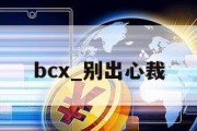 bcx_别出心裁