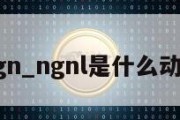 ngn_ngnl是什么动漫